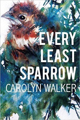 Every Least Sparrow, memoir about parenting a special needs child, by Carolyn Walker
