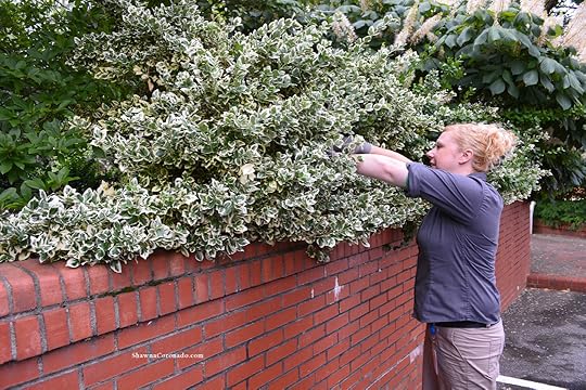 Flower Arranging Biltmore Foliage Cutting