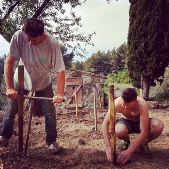 stone cabanon, provence, cypress, French, winemaker, father and son farming