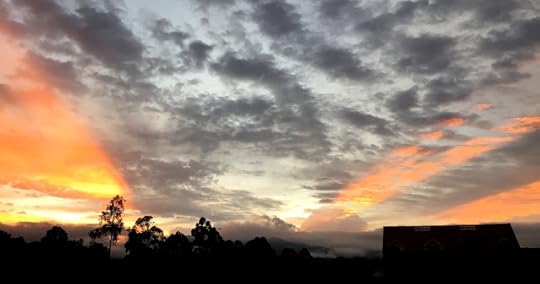 Split Sunet