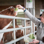 Screen Shot 2017-03-23 at 1.11.45 PM