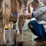 Screen Shot 2017-03-23 at 12.53.51 PM