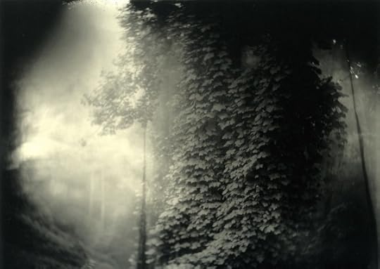  photo sally-mann-01_zpshg1gae01.jpg