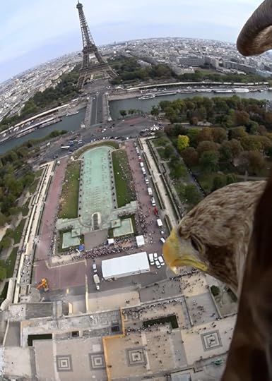 eagle view from Eiffel Tower Credit SonySWNS.com Creative Commons The 100% authentic Eagle Eye view