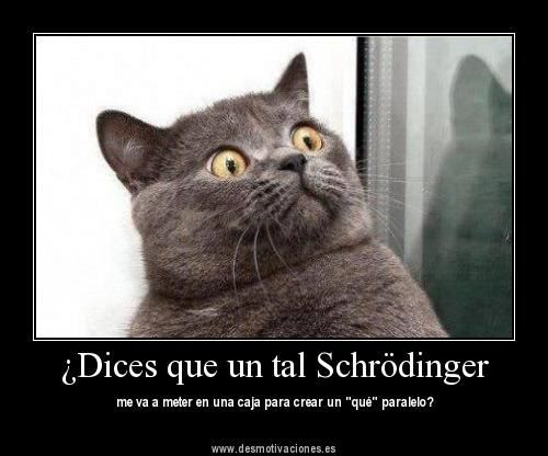 gato-schrodinger-otra-dimension-paralela