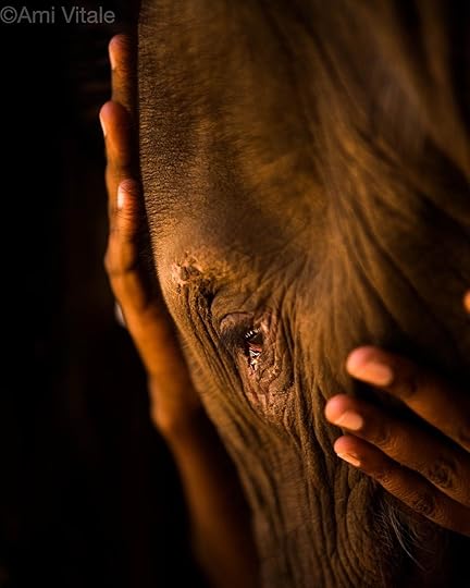 IMG_20170321_114534_822