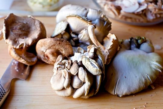 extra-pretty mushrooms