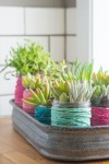 string-wrapped-jars