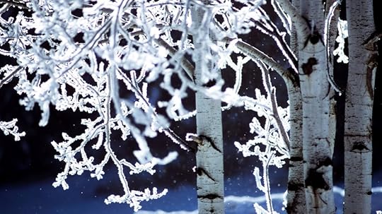 how trees survive winter 2.jpg