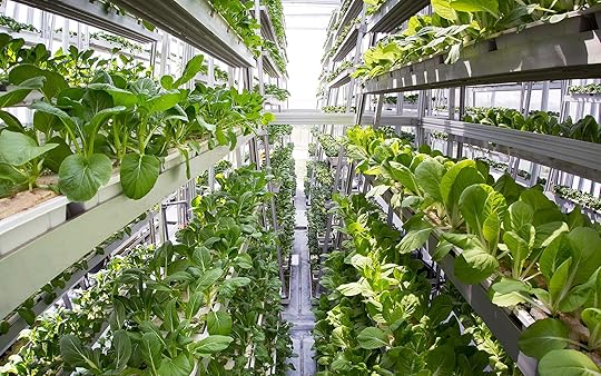 Bildergebnis für Vertical farming