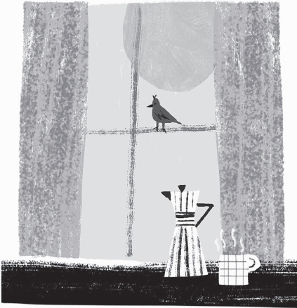 Almost Adulting 1-- bookspoils