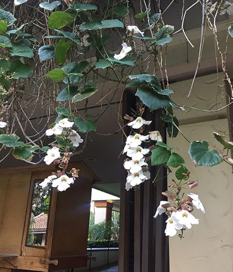 Hilton Hawaiian Village, Left Coast Crime 2017