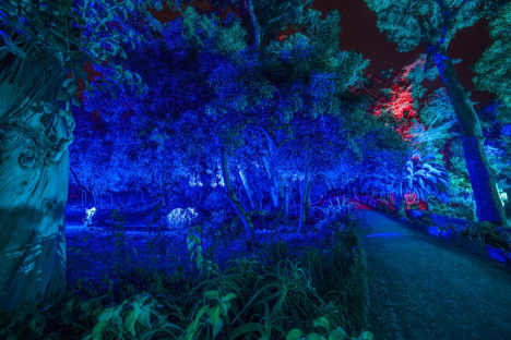 light Karo_Kola_Paris