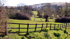 MeadowGloucestershire.