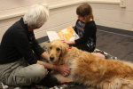 Therapy-dog
