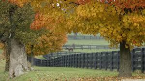 Image result for scenes