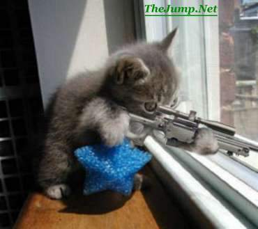 sniper rifle photo: Kitty Sniper sniper.jpg”/></a>