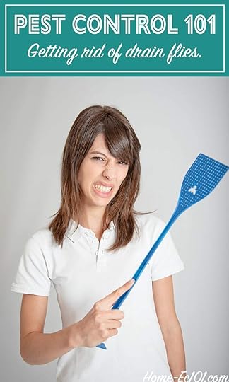 How to get rid of drain flies, once and for all.