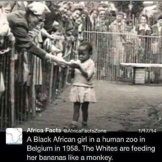 1901434_601487263275576_563904960_n