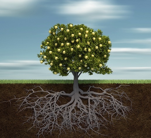 iStock_000014633684small