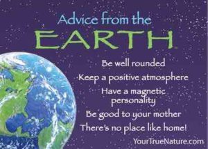 Your True Nature and Saving Wild promotion