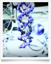 It's all in the DNA