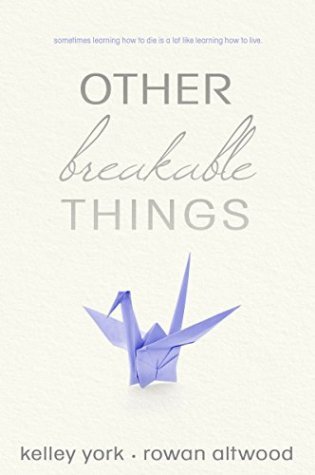 Review – Other Breakable Things by Kelley York