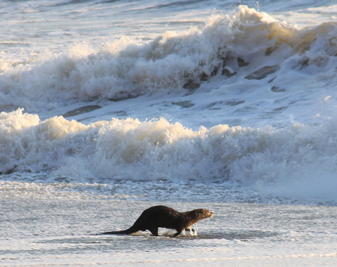 Photo: Marine protected areas are one piece of a complex puzzle