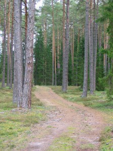 dreamstimefree_204269