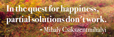 happiness, quote, Mihaly Csikszentmihalyi