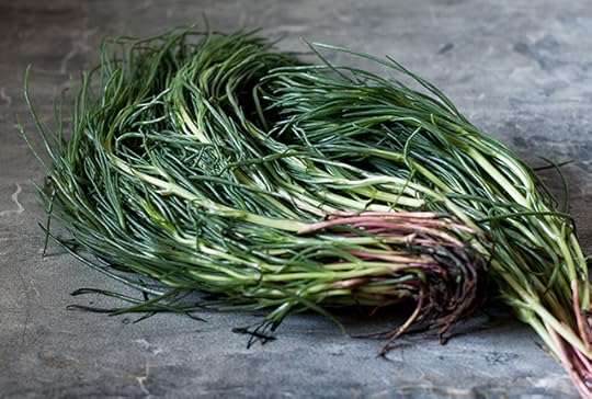 agretti monks beard