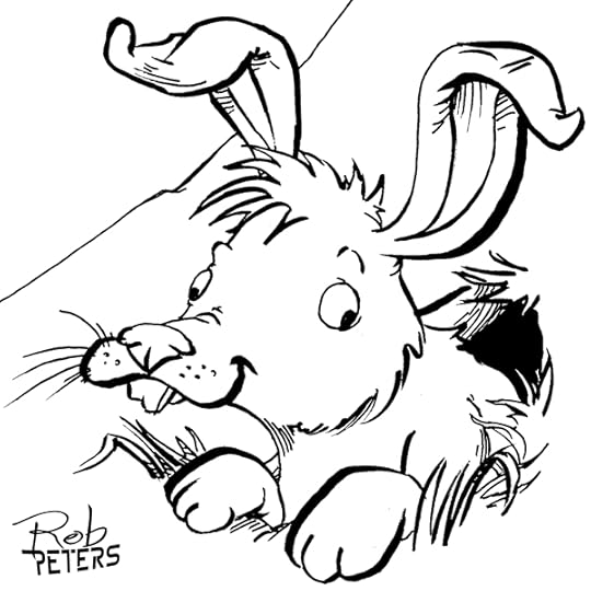 Rabbit2