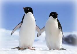  photo dirty games 2_zpsww8lknh8.jpg