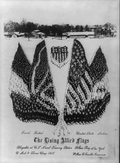 living photograph of allied flags
