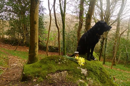 Coffee break with hound and daffodils
