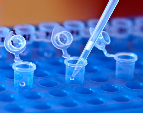 Photo: Citizen science and genetic testing yield positive results