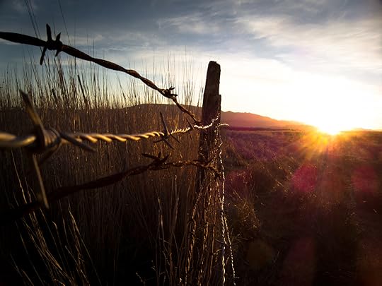 Beautiful sunset against barbed wire fence