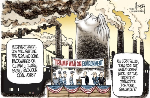Trump b 66