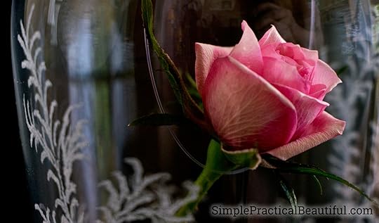 Beauty and the Beast rose | How to make the enchanted rose and cloche from Disney’s movie | Etching a glass cloche