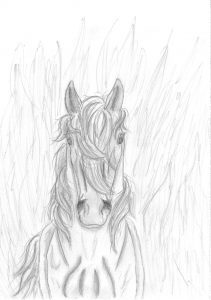 Esperanza: A Vihar és Szépség fiának Próféciája - első rész