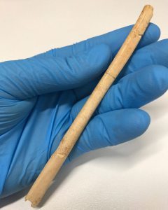 World oldest nose piercing kimberly