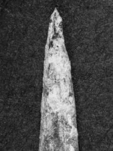 40,000 yr old sharpened bone tool, Flinders Ranges, South Australia