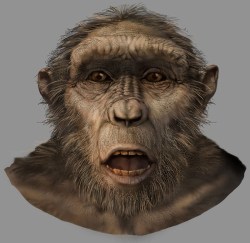 sahelanthropus tchadensis
