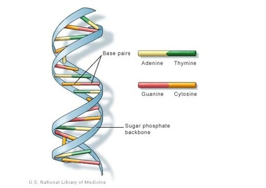 DNA structure and coding