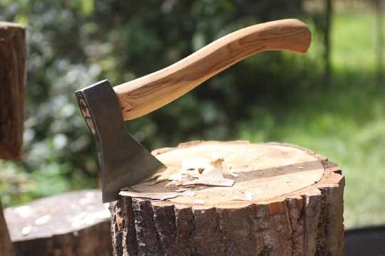 Image result for axe images