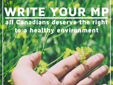 Photo: Ask your MP to support an environmental bill of rights