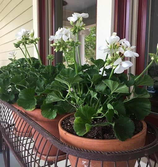 Porch Pizzazz