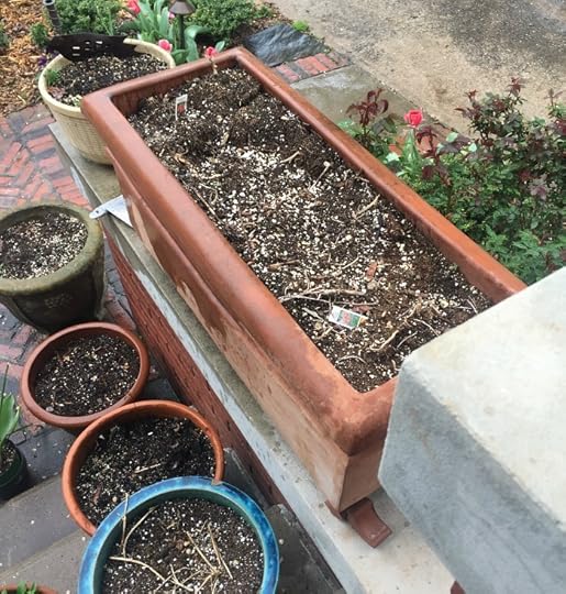 Empty! Ready for Monrovia plants!