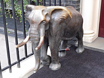 CURZON STREET: Elephant at Aspinalls