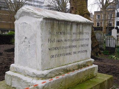 BUNHILL FIELDS Mary Page